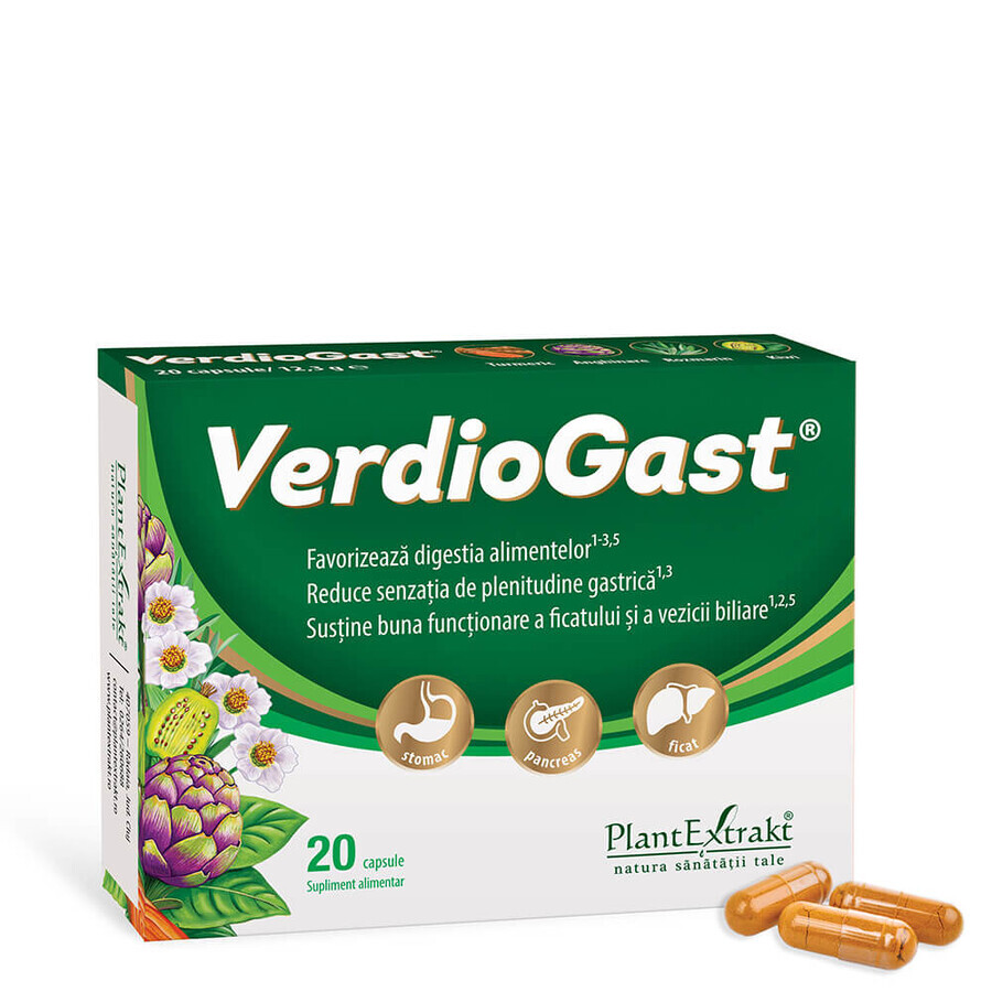 Verdiogast x 20 capsule