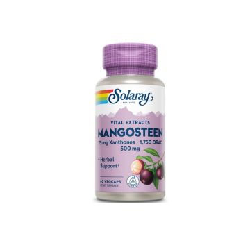 SECOM Mangosteen 500mg x 60 capsule